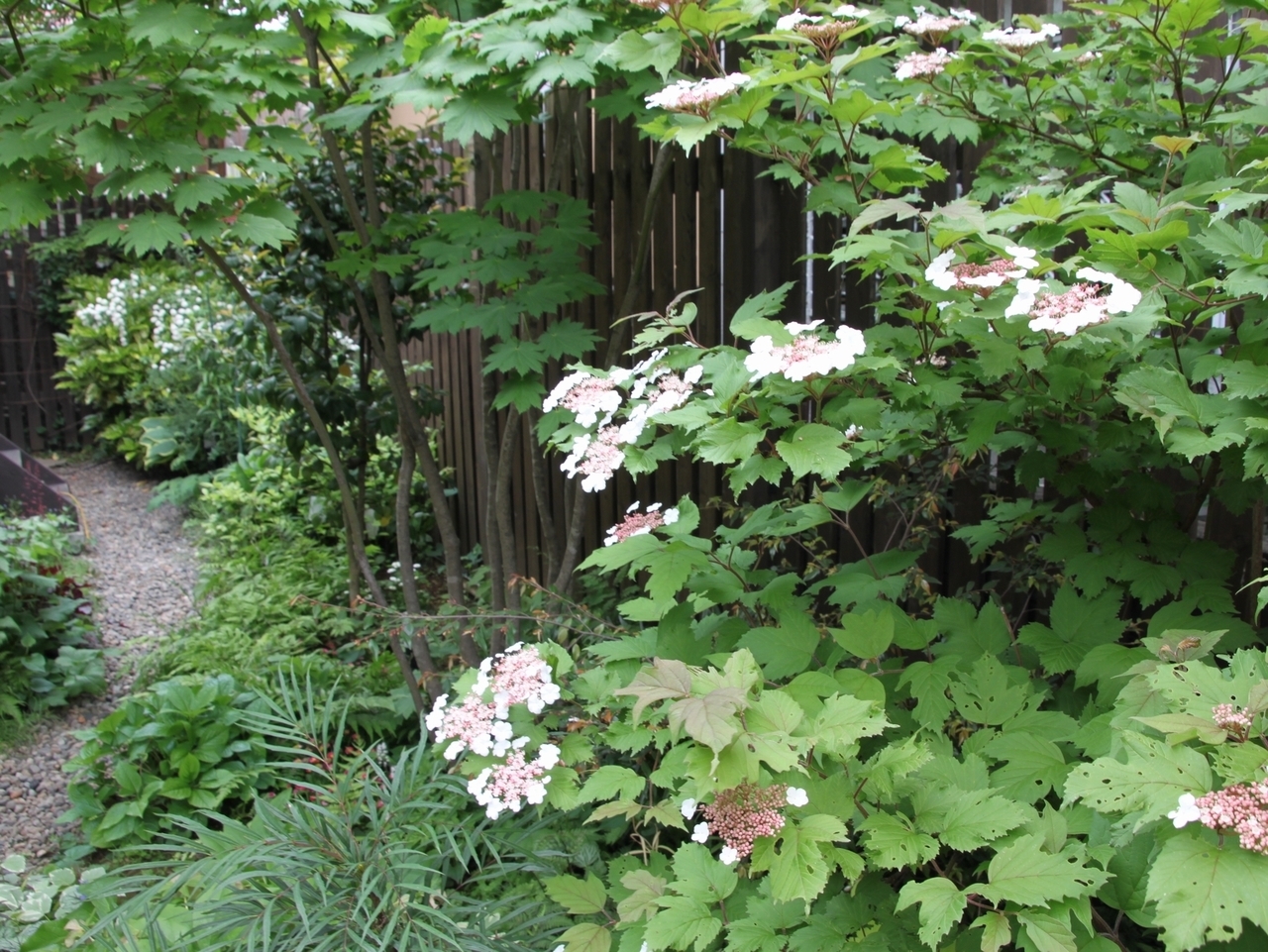 砂利の園路と日陰の植栽